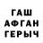 ГАШ гарик Apex Profii