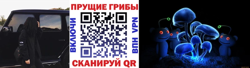 это Telegram  где можно купить   Судак  Галлюциногенные грибы Psilocybine cubensis 